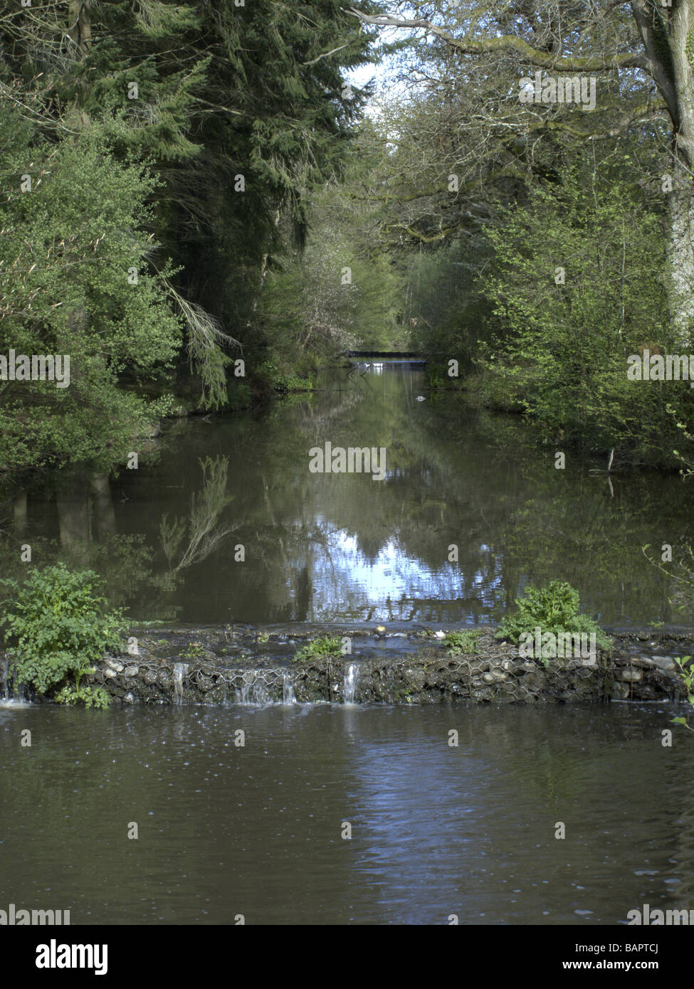 Stover Country Park Devon Stock Photo