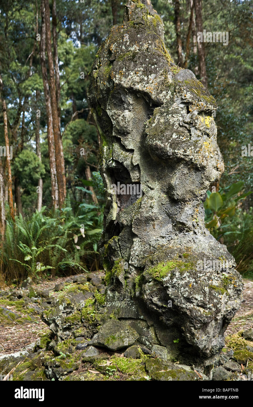 Lava Tree Casts standing in forest. Stock Photo
