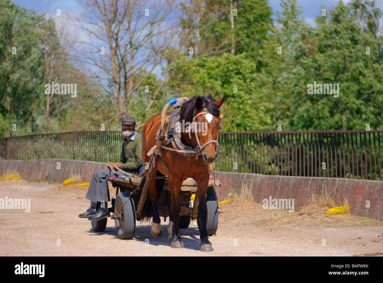 Horse Driven Cart High Resolution Stock Photography and Images Alamy