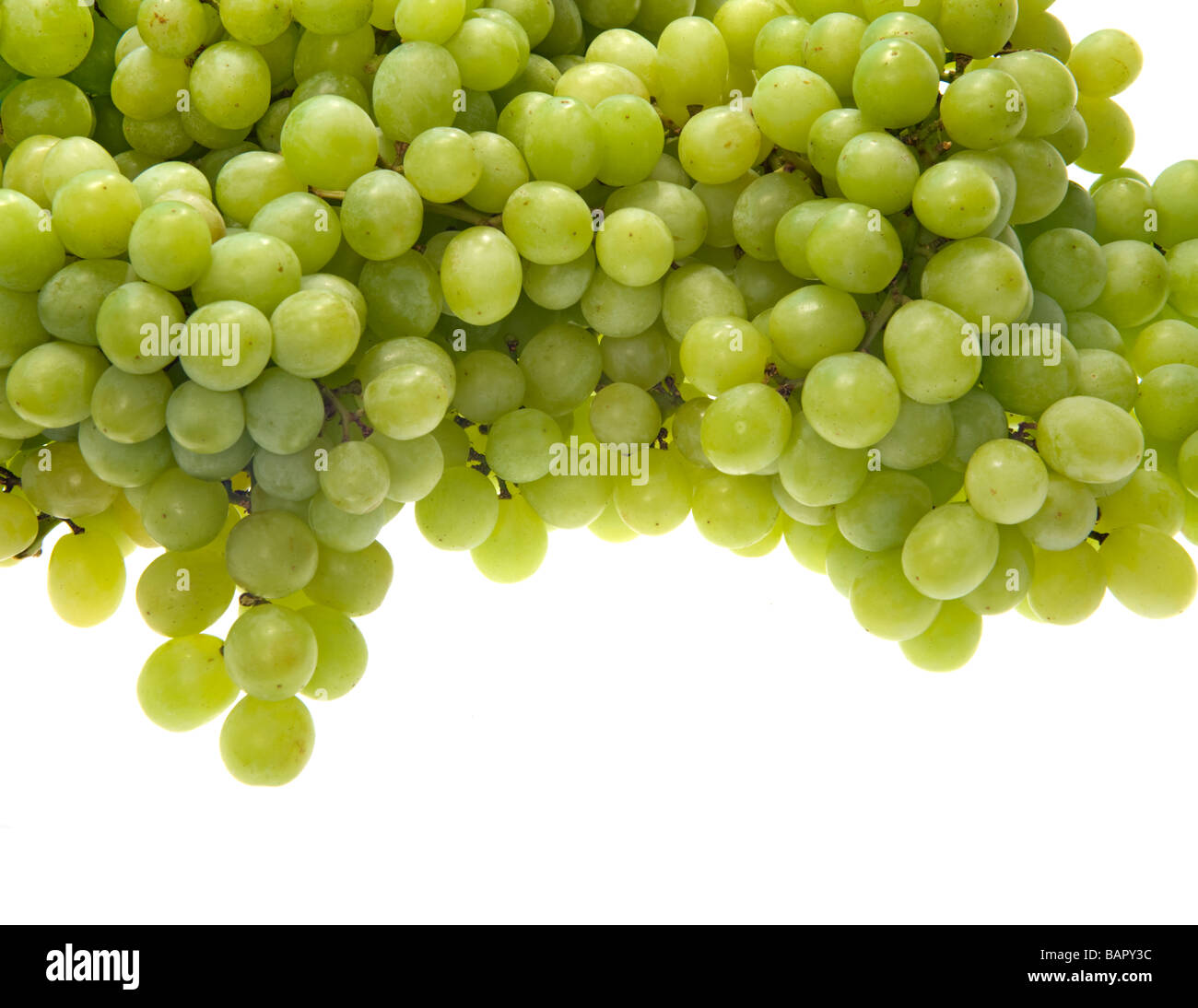 quality seedless table grape food fruit tasty taste healthy health