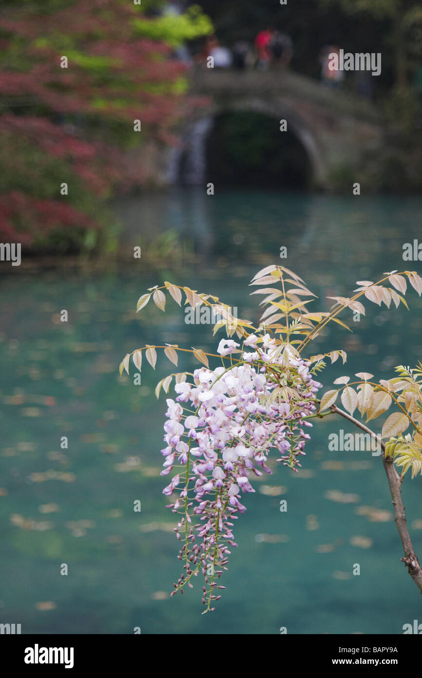 Spring In Hangzhou Hangzhou natural beauty hi-res stock photography and images - Alamy