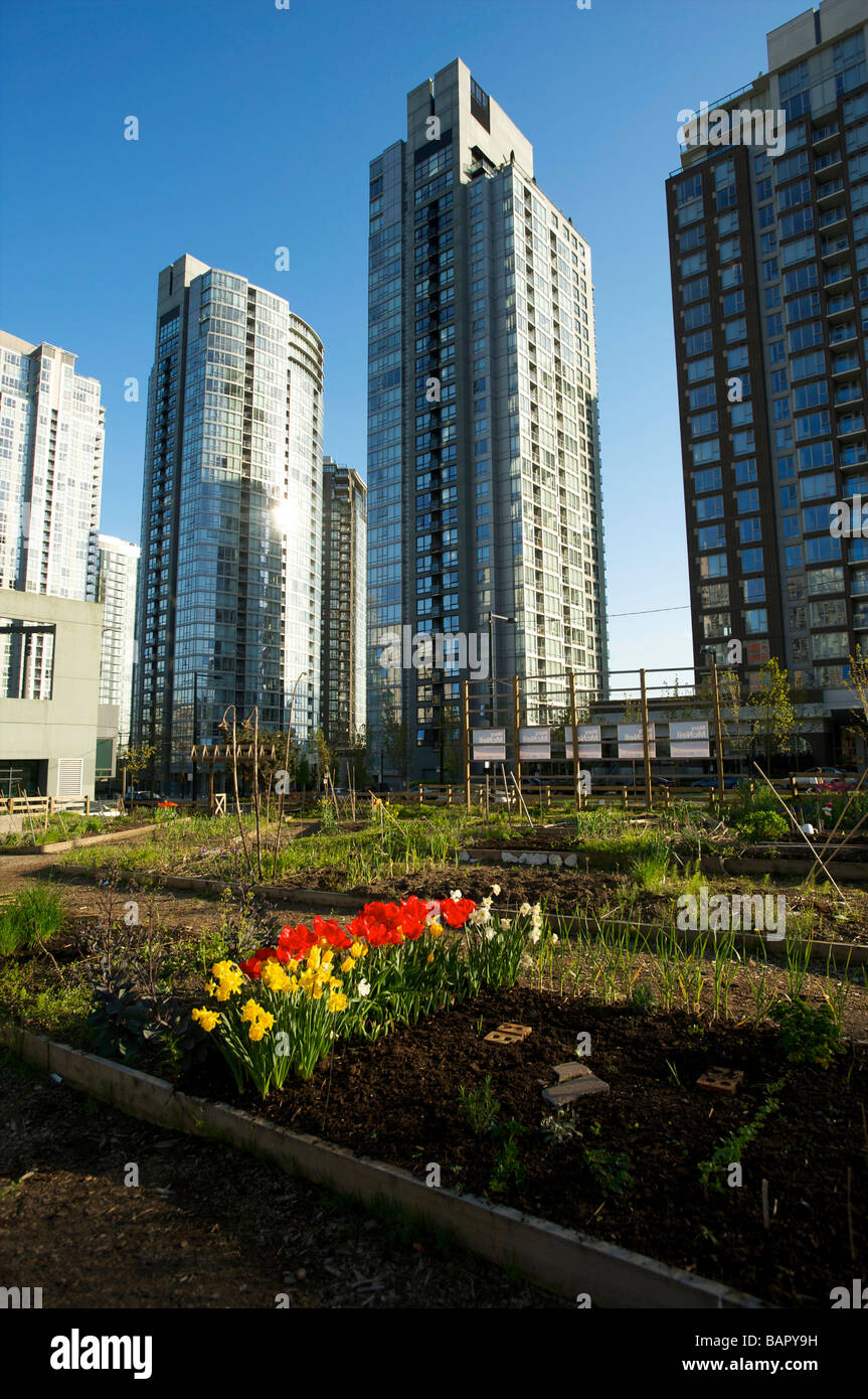 An urban garden Vancouver BC Canada Stock Photo