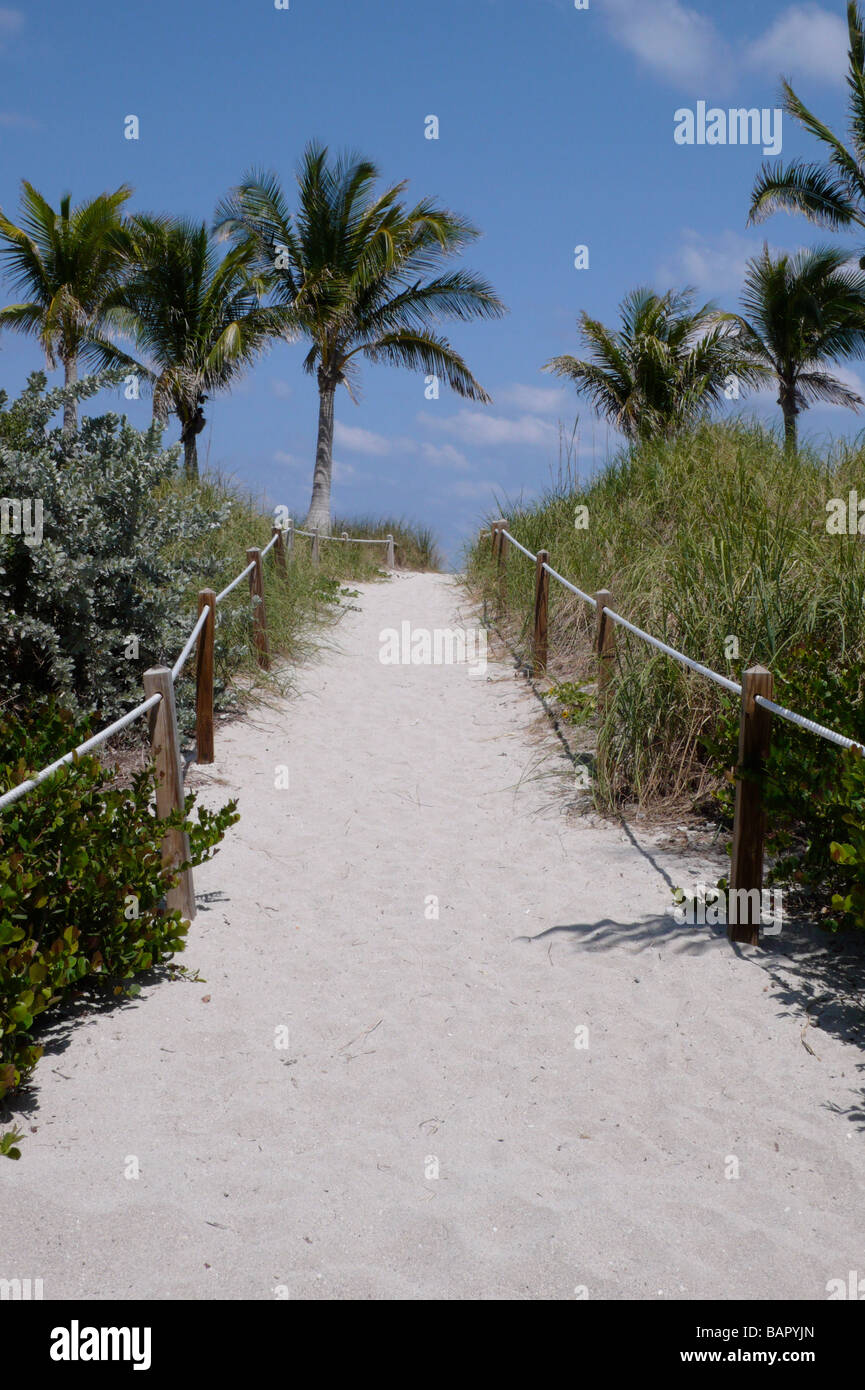 Sandy path leading to beach Stock Photo - Alamy