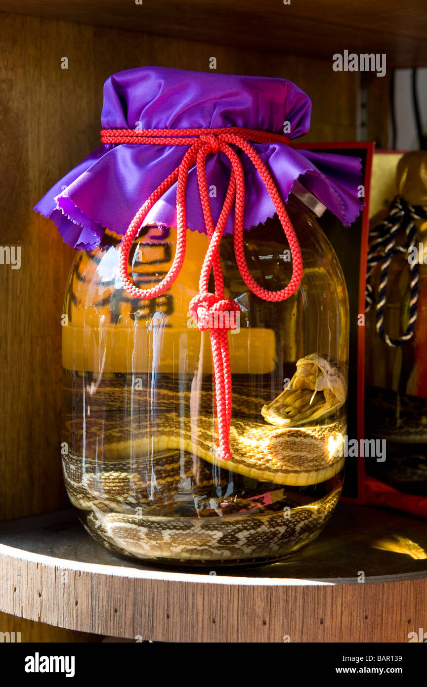 Okinawan Snake Wine or Habushu on Display in one of the Many Tourist Souvenir Shops on Kokusai Dori, Naha, Okinawa, Japan Stock Photo