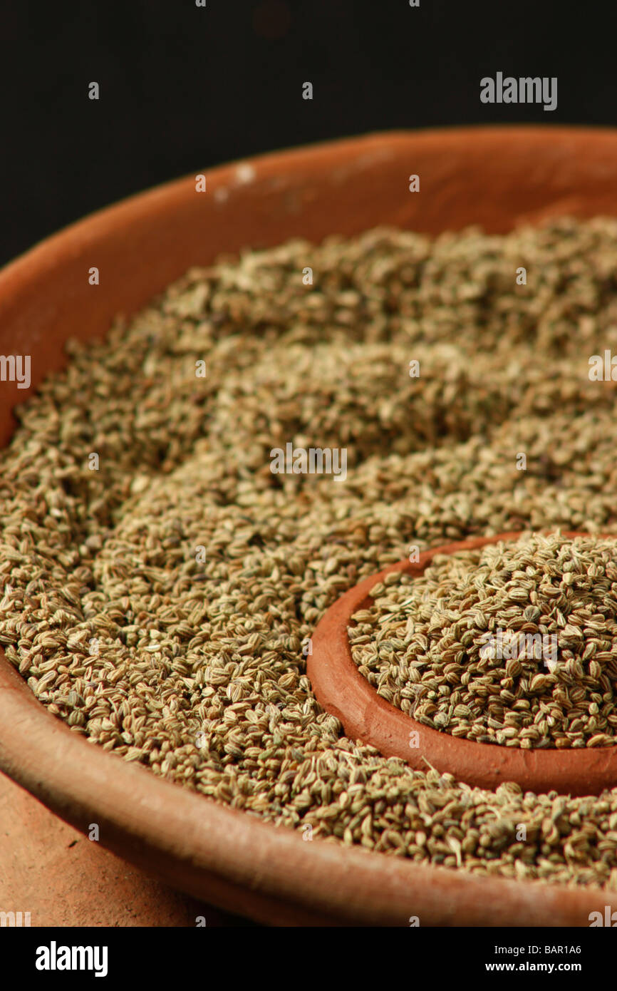Ajwain also known as Carom seeds are rich in calcium and iron and