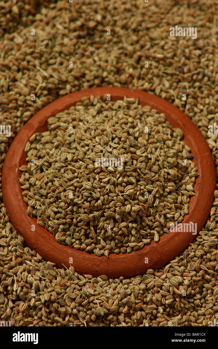 Ajwain Seeds English ajwain-seeds-english