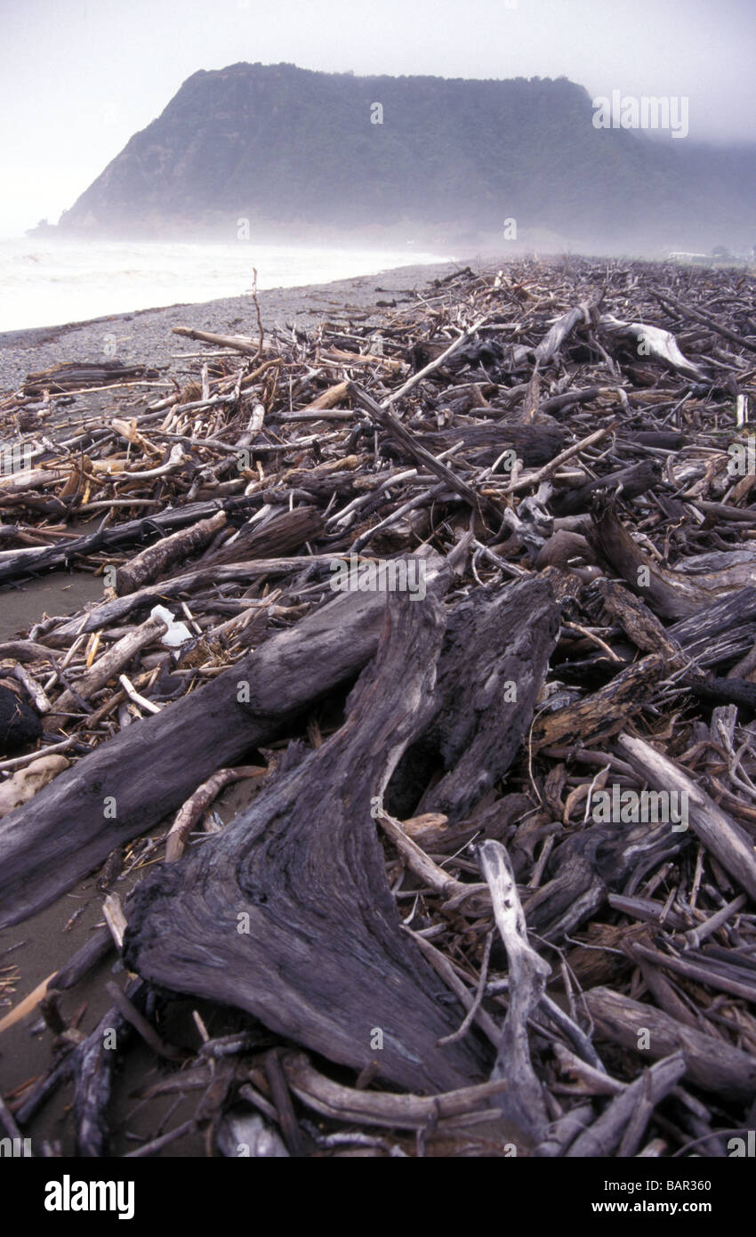 driftwood shoreline washed up storm beach windswept wild stormy atmospheric coast Te Araroa East Cape North Island New Zealand Stock Photo