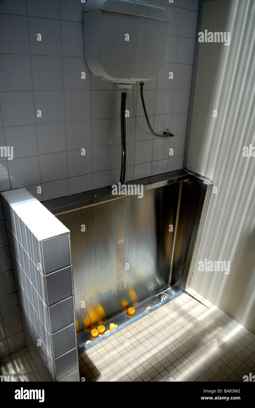 Male urinal in public toilet. Western Australia Stock Photo - Alamy
