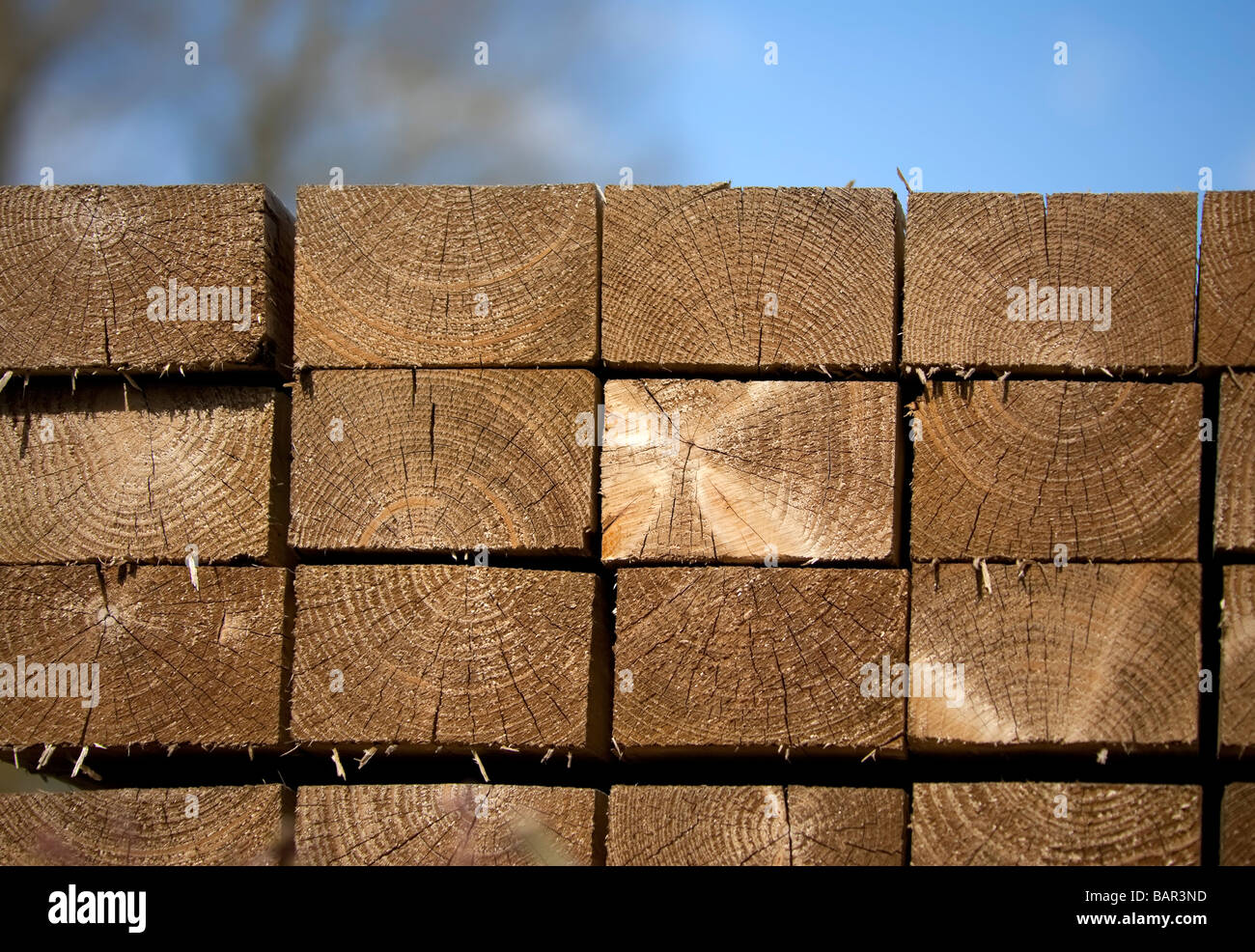 wood and timber in a builders yard Stock Photo Alamy