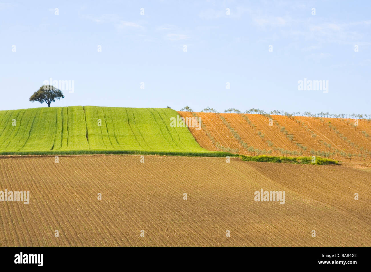 Rolling countryside hi-res stock photography and images - Alamy