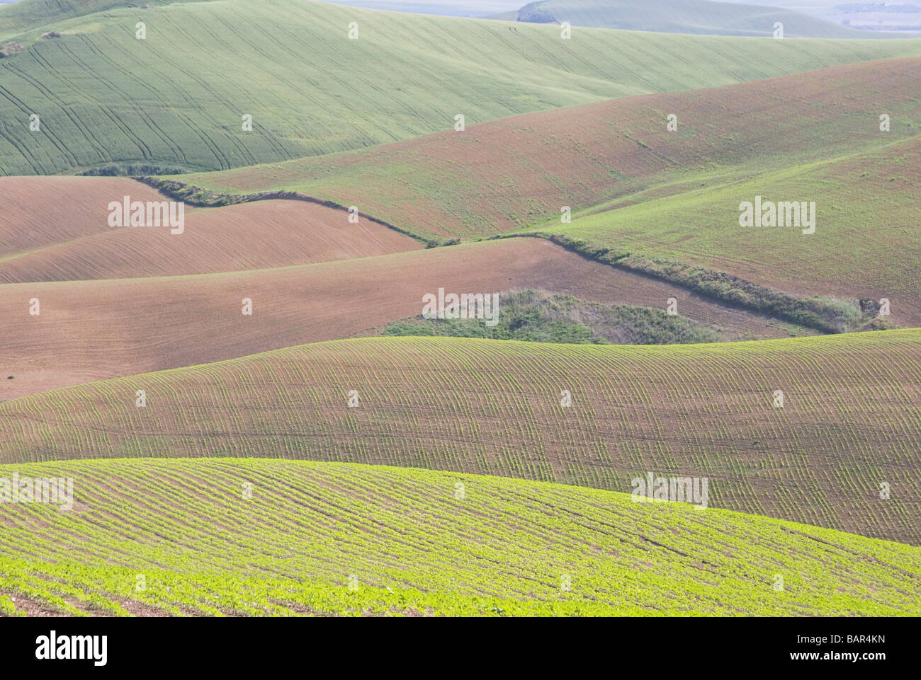 Andalucia spain field hi-res stock photography and images - Alamy