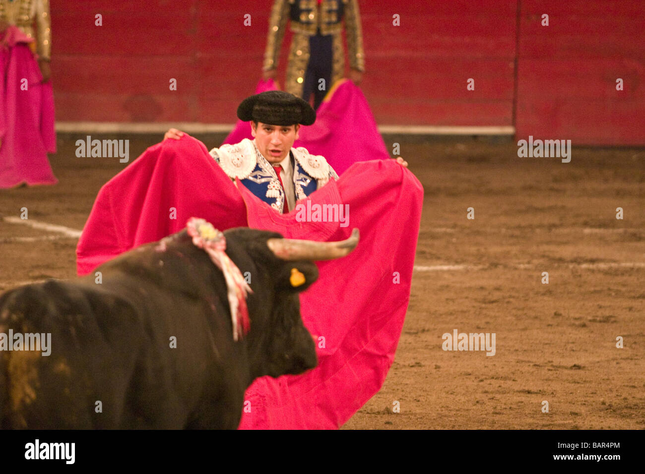 Bullfight at the Plaza de Toros Santa Maria in Queretaro Mexico Stock Photo Alamy