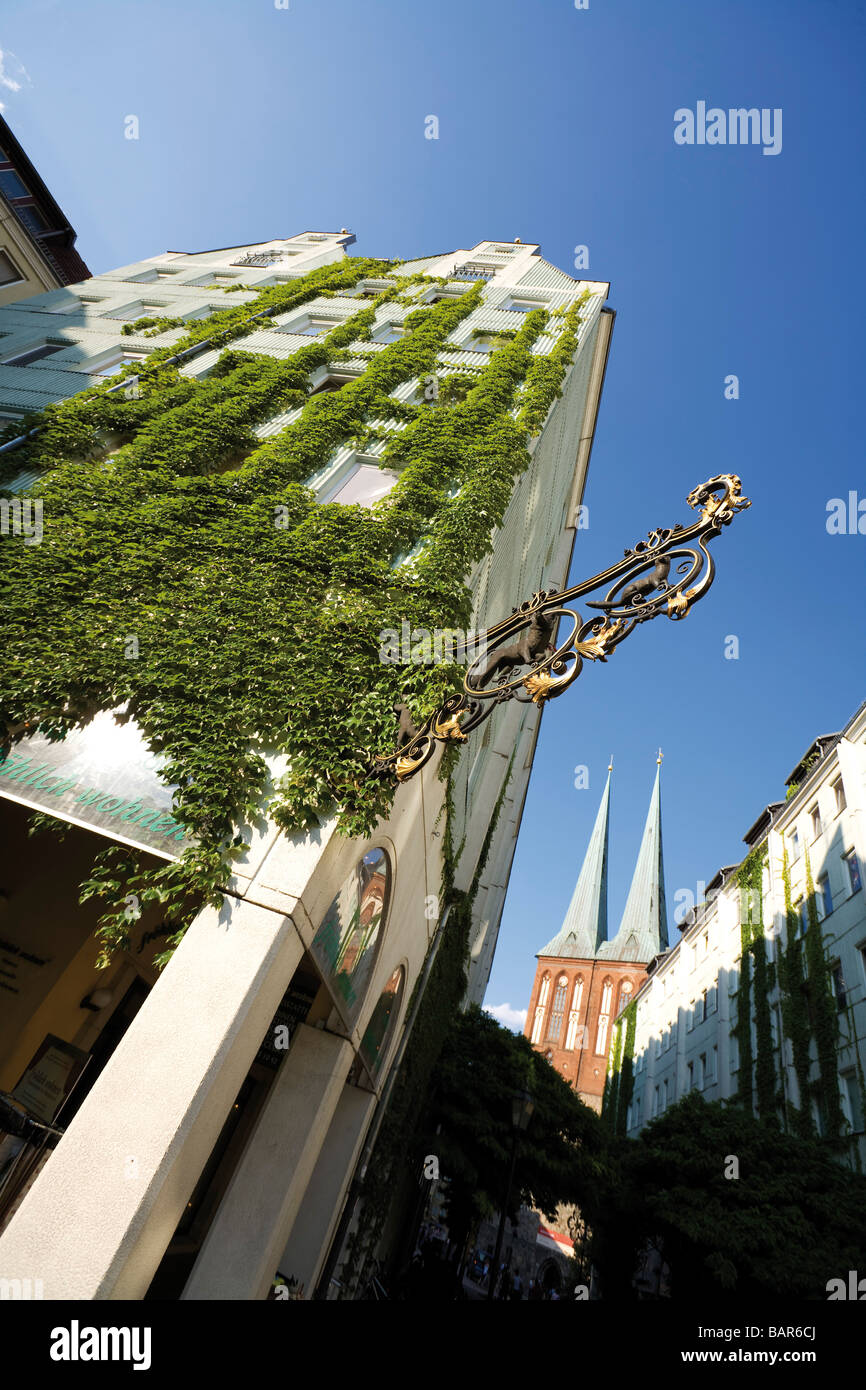 Germany, Berlin, Nikolaiviertel, Ivy on house wall, low angle view Stock Photo
