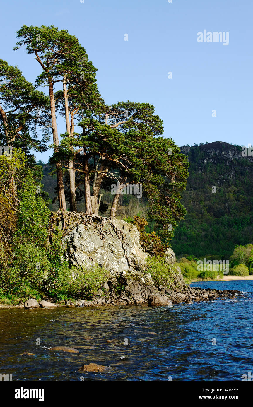 Shoreline of Derwent Water in the English Lake District Stock Photo