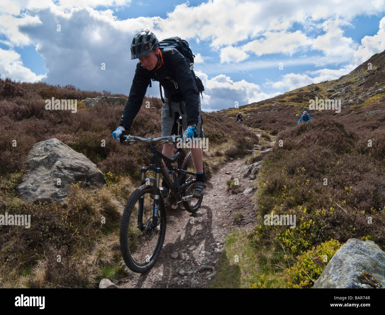 snowdonia bike park