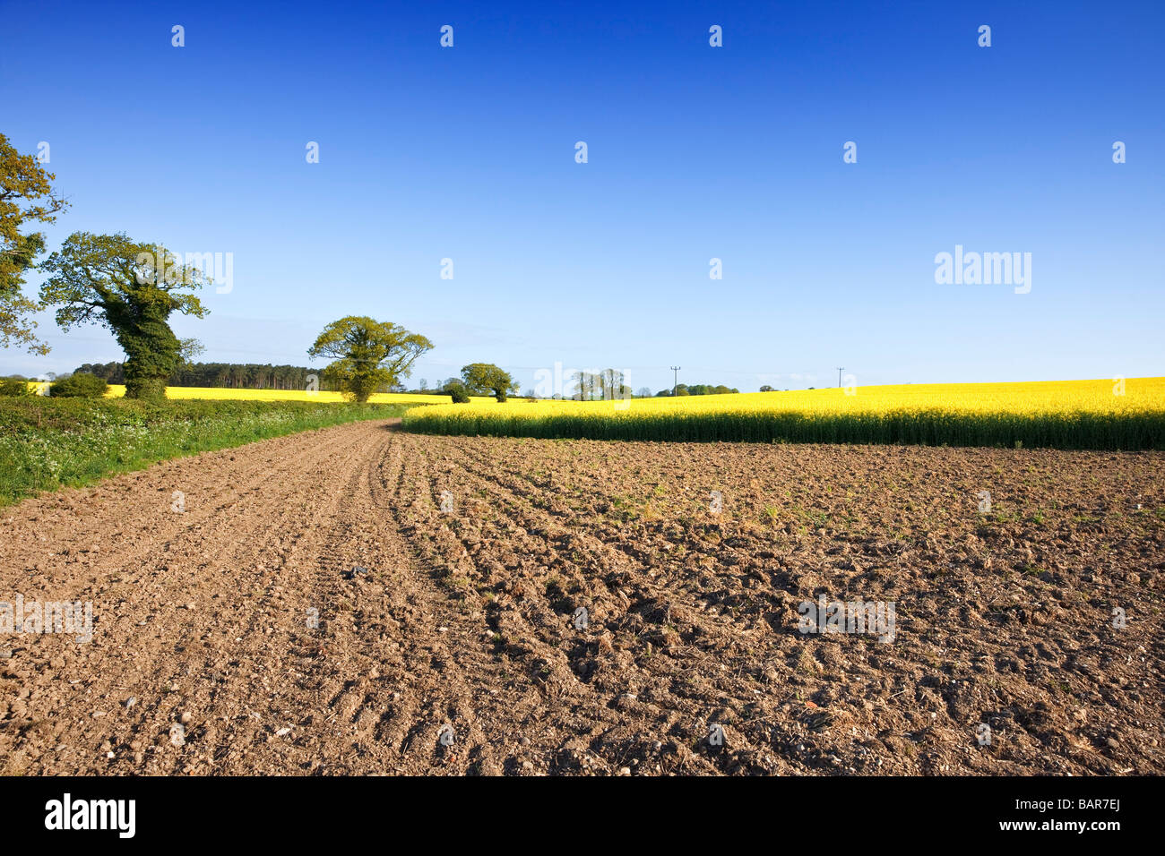 Promotion of farming life hi-res stock photography and images - Alamy
