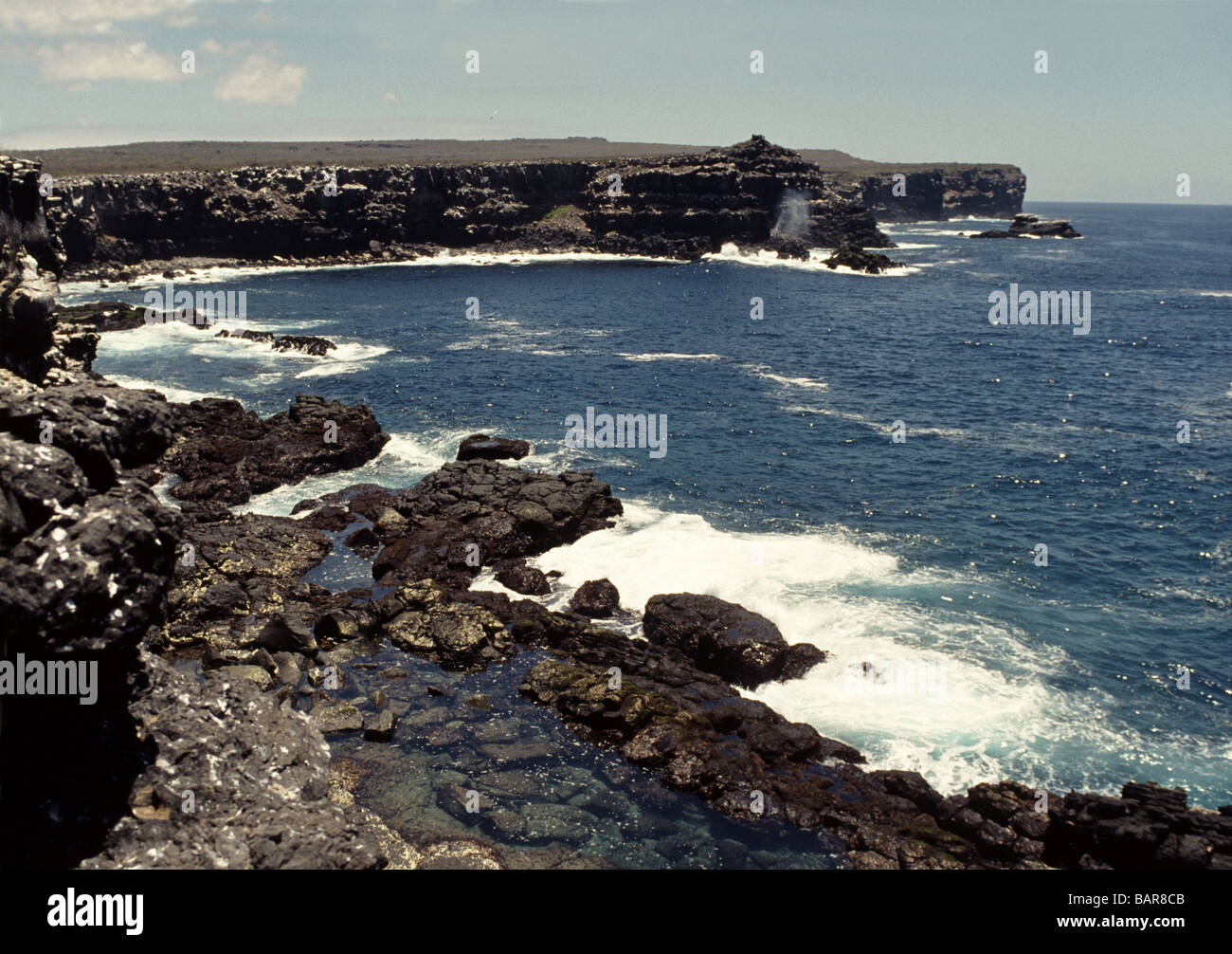 Galapagos Islands. Hood Island. Point Suarez.Blow hole spouting just