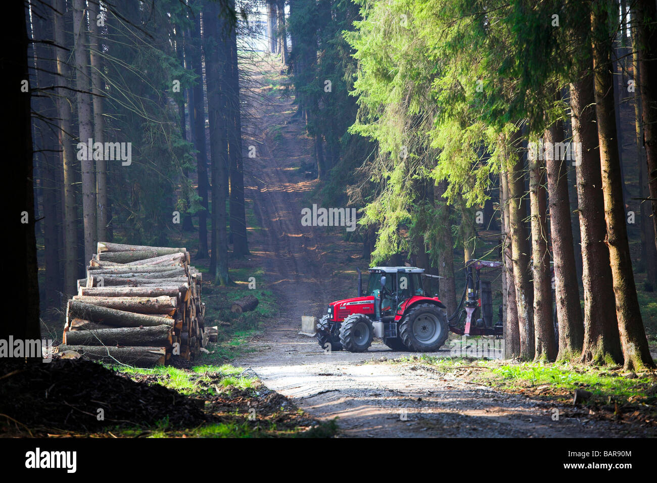 Tractor parked in forest clearing Stock Photo