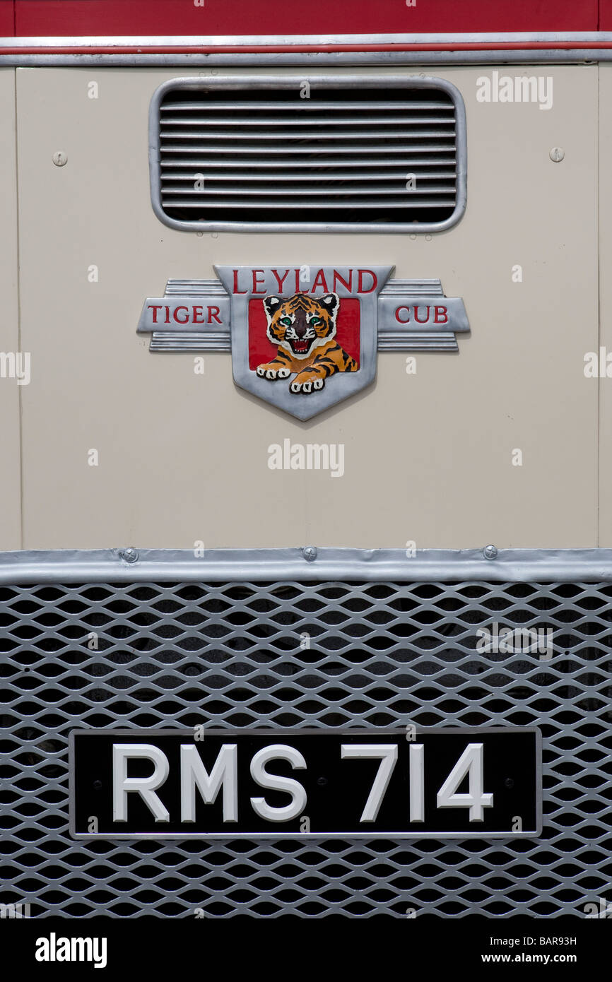 Radiator of 1961 Leyland Tiger cub single decker bus during vintage commercial vehicle rally, Brighton. Stock Photo