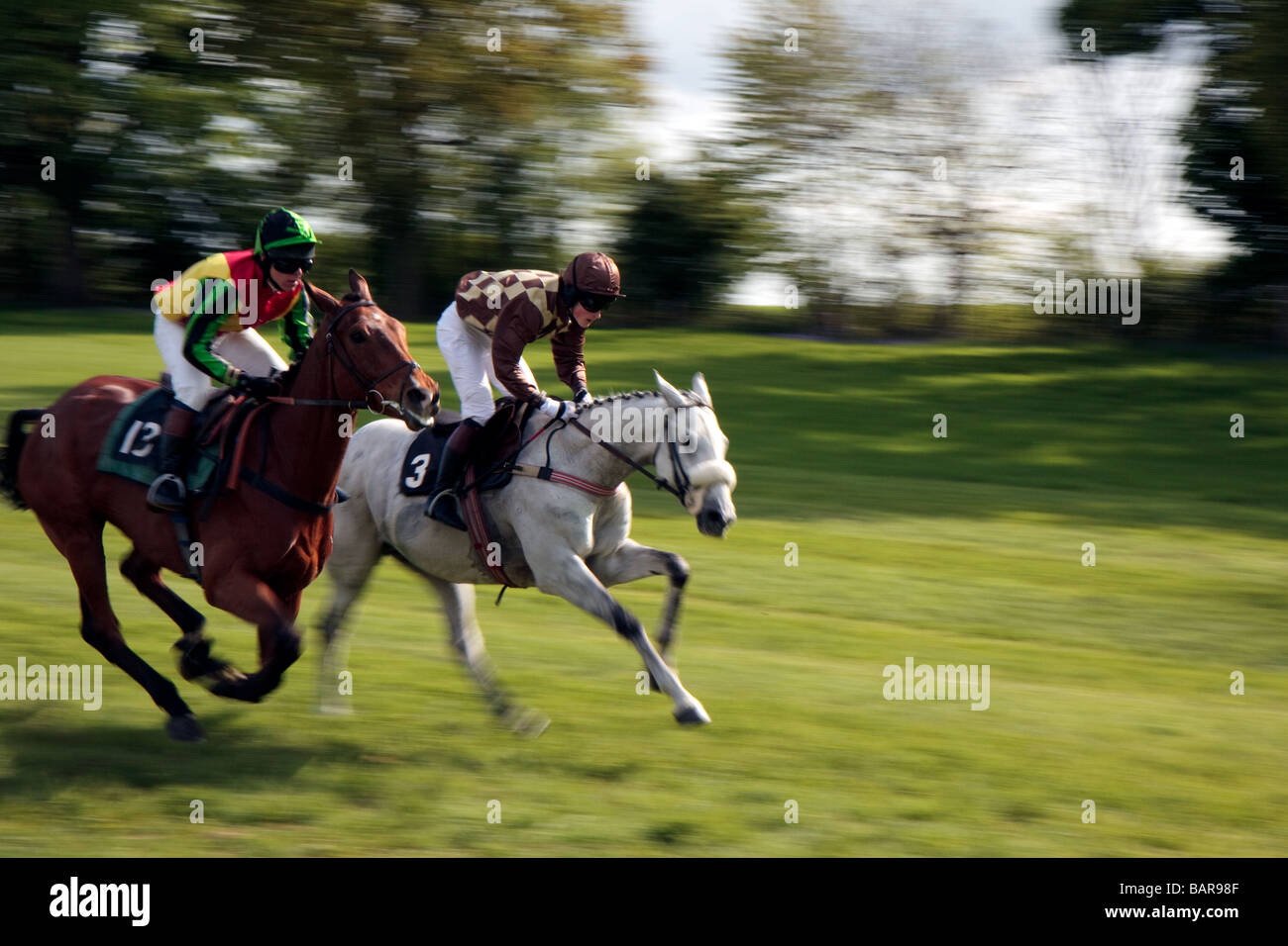Point to point racing at Godstone Surrey horse Stock Photo Alamy