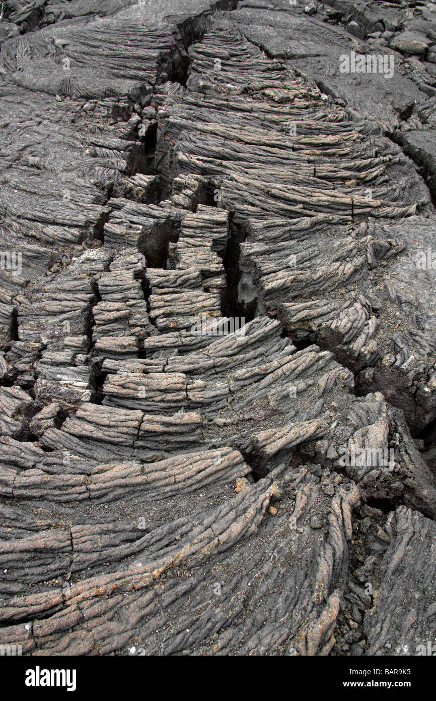 Pahoehoe Lava Flow, Punta Espinoza, Fernandina (Narborough) Island, Galapagos Islands, Ecuador, South America. Stock Photo