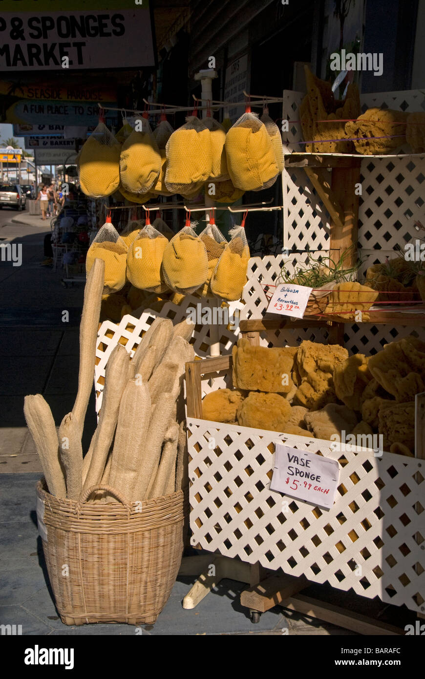 Natural sponges for sale at Tarpon Springs Florida Stock Photo Alamy