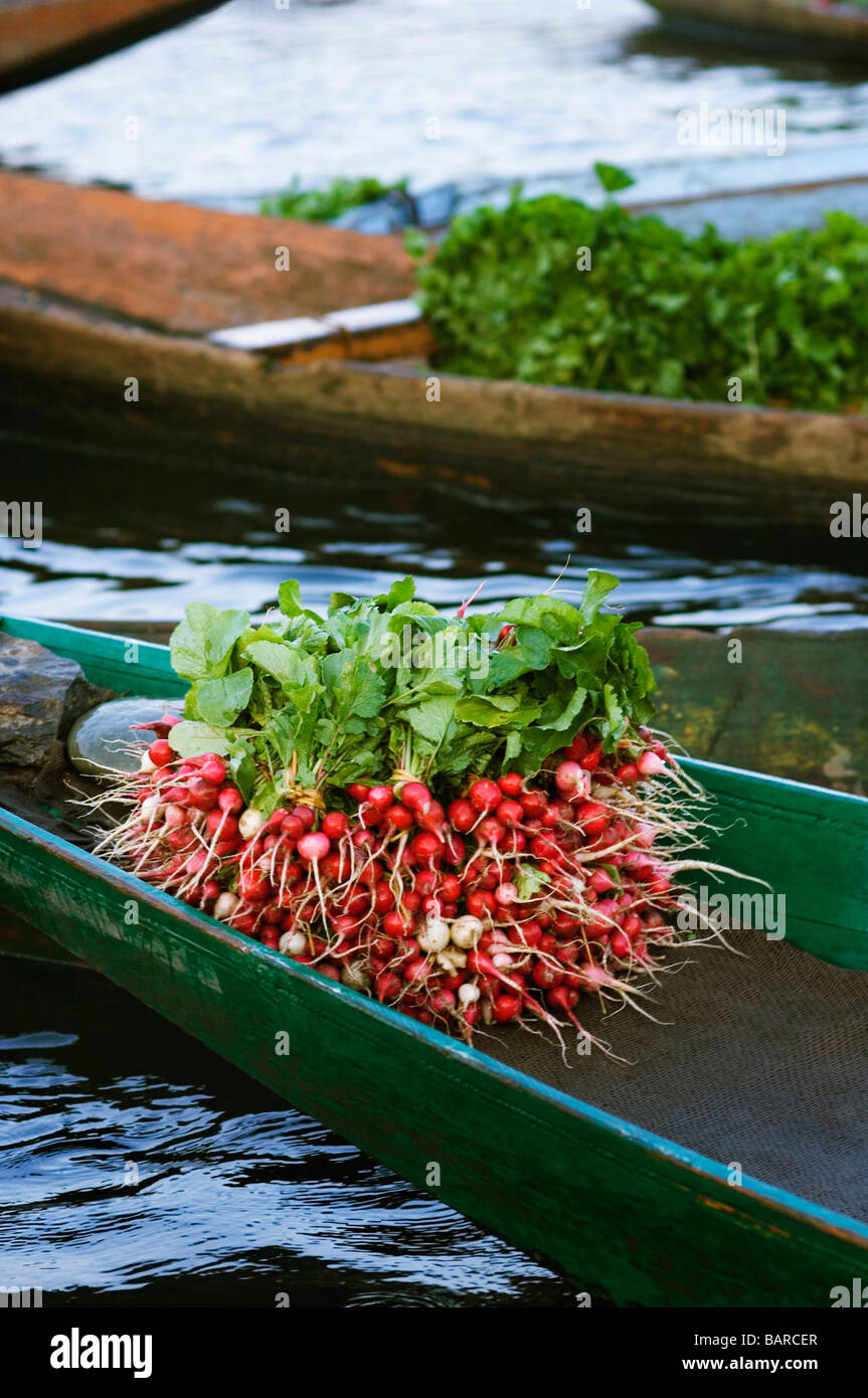 Vegetables in a boat, Dal Lake, Srinagar, Jammu And Kashmir, India