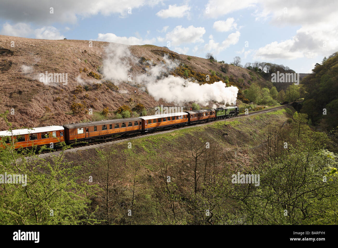 Steam Locomotive 60163 Tornado seen at Water Ark on the North York Moors railway pulling a rake of LNER teak coaches, England, UK Stock Photo