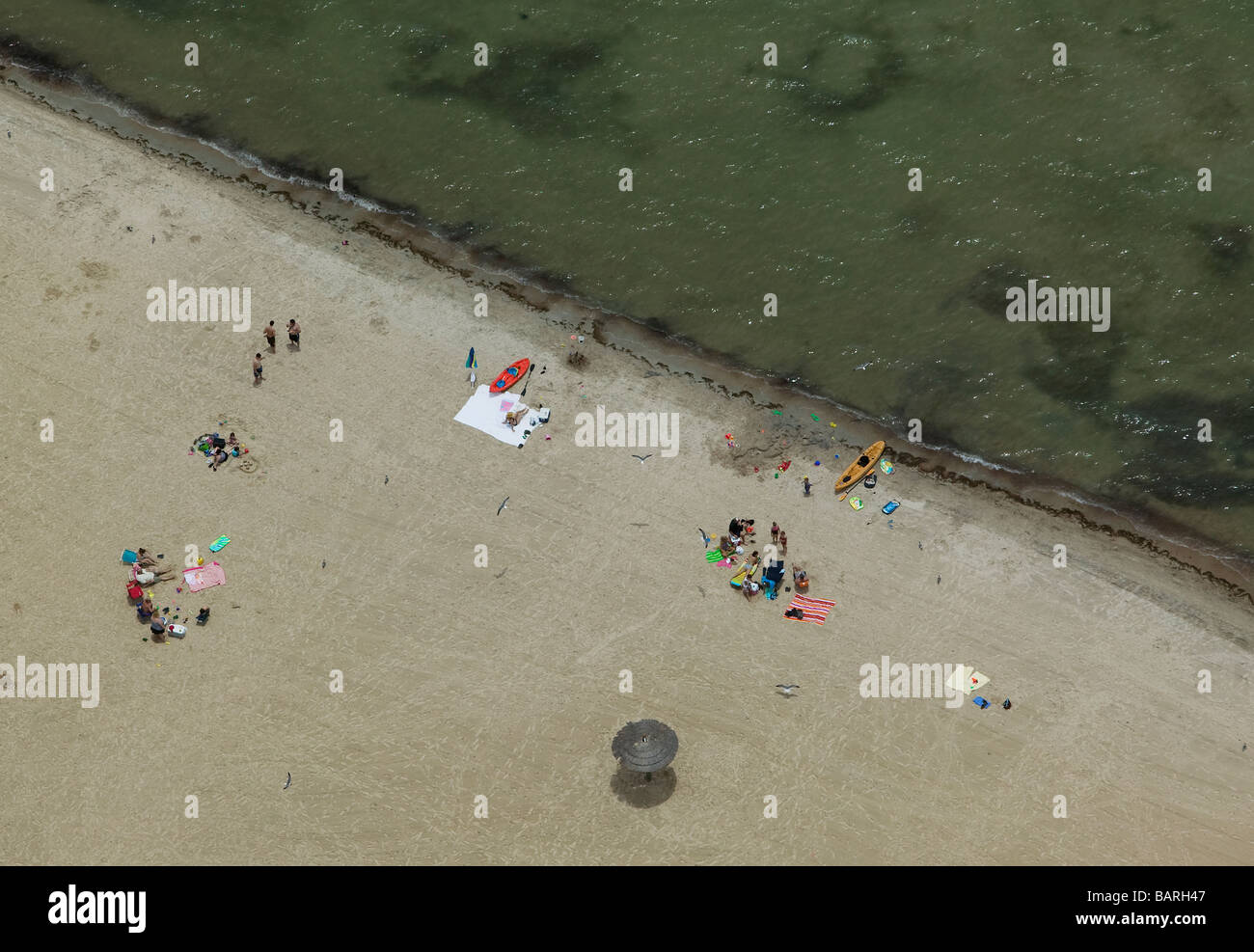 aerial view above sunbathers Texas Gulf coast Stock Photo