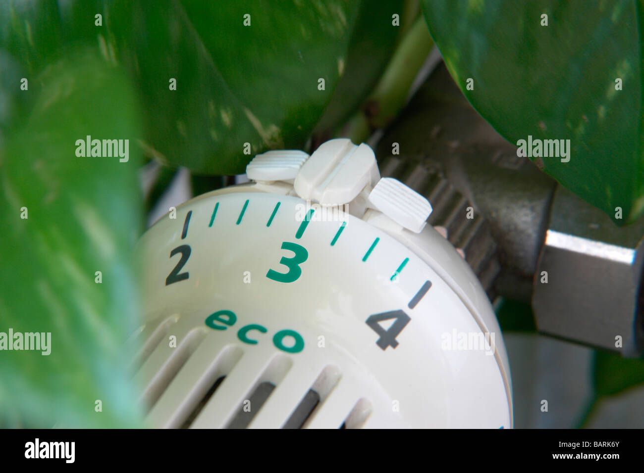 Thermostatic radiator valve (detail) surrounded by green leaves of a plant. Stock Photo