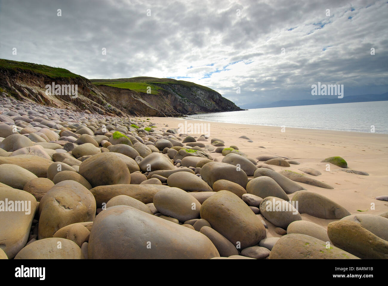 Minard head hi-res stock photography and images - Alamy