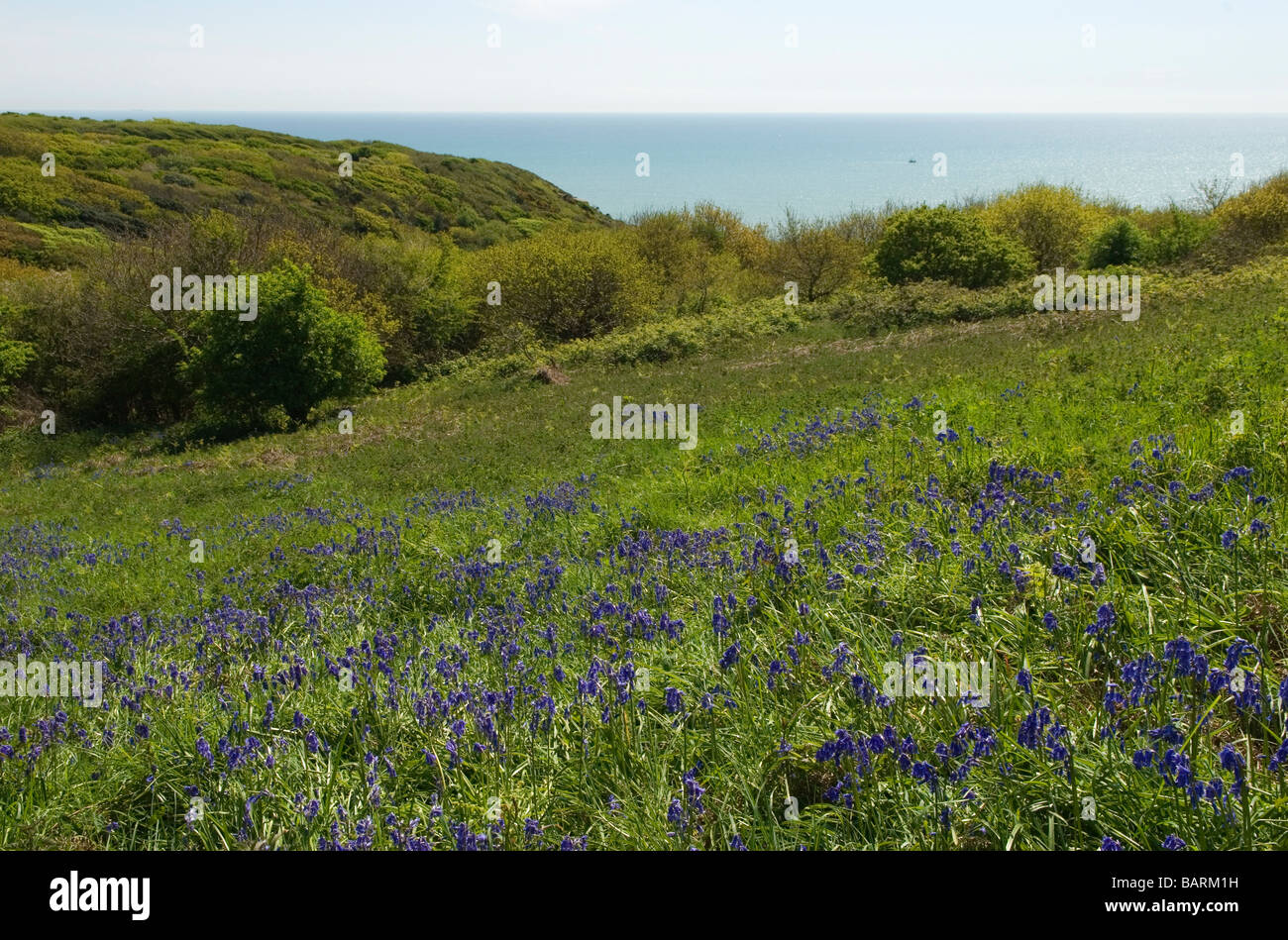 Hastings East Sussex Country Park and Nature Reserve England Stock Photo