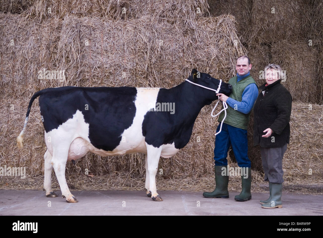 Mary mead hi-res stock photography and images - Alamy