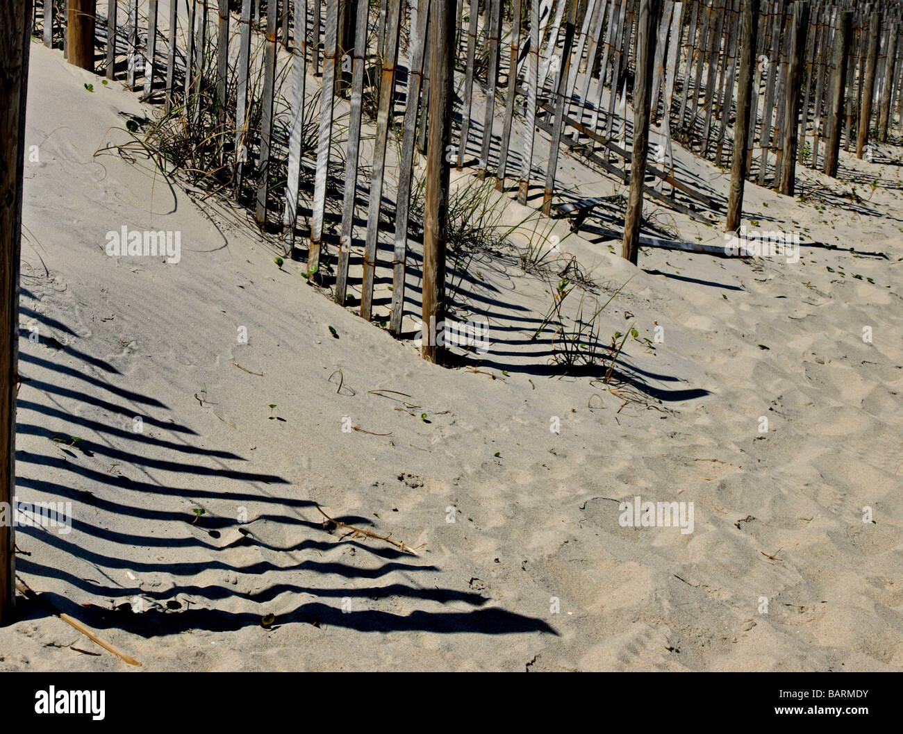 beach sand dune fences with shadows and vegetation Stock Photo