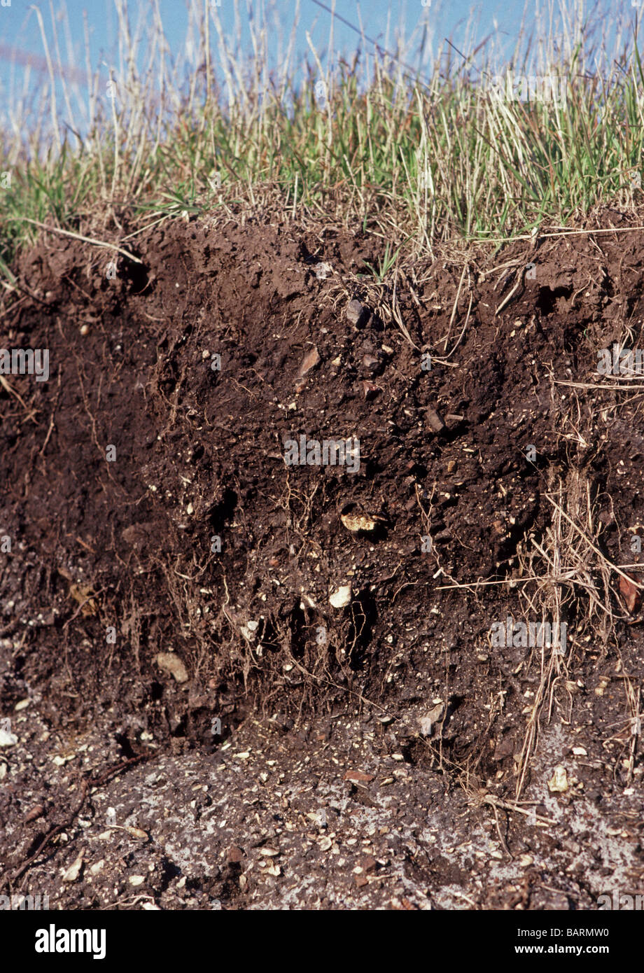 Ohlone Indian shell mound site Coyote Hills Regional Park along San