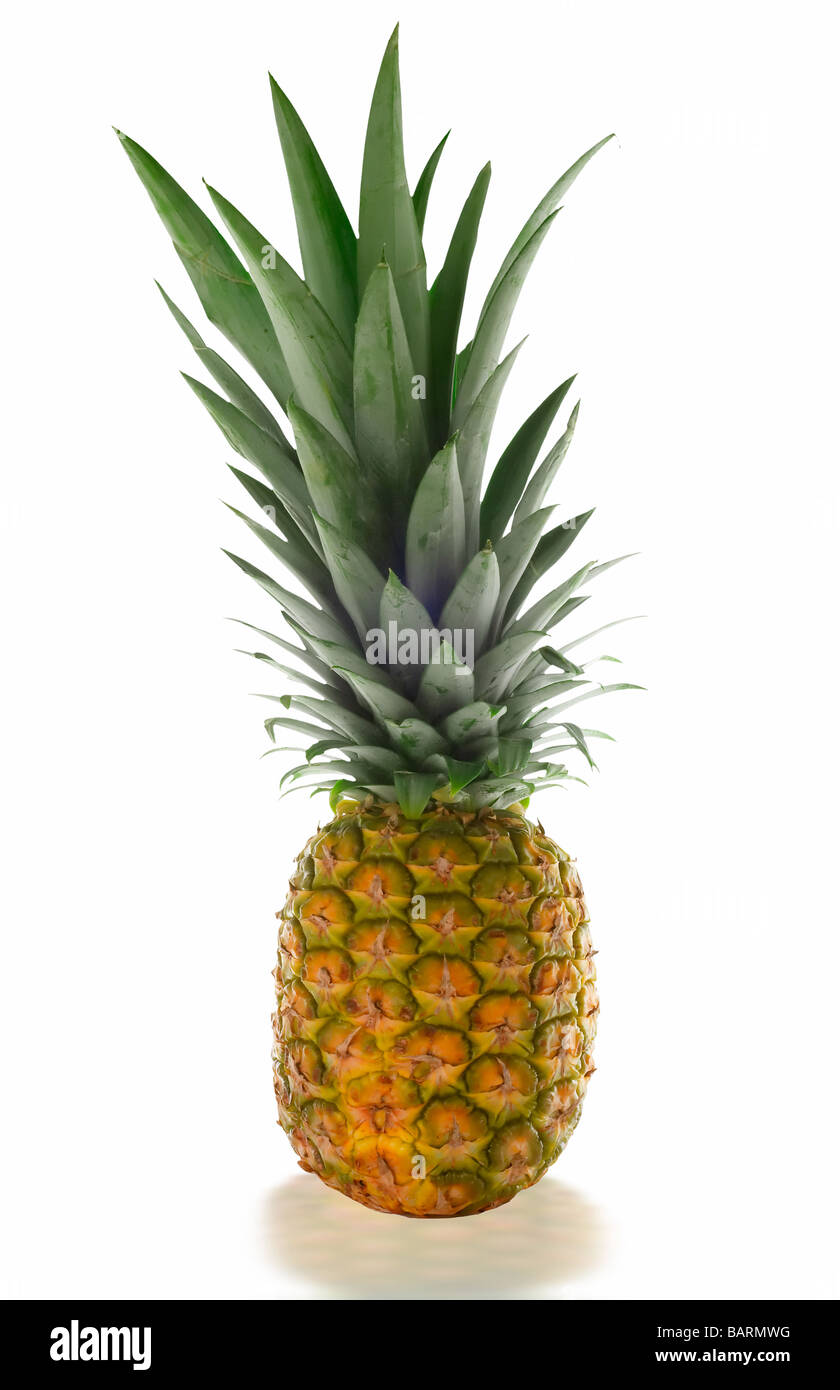 Pinapple Razors pinapple isolated on white and clipping path included Stock Photo - Alamy