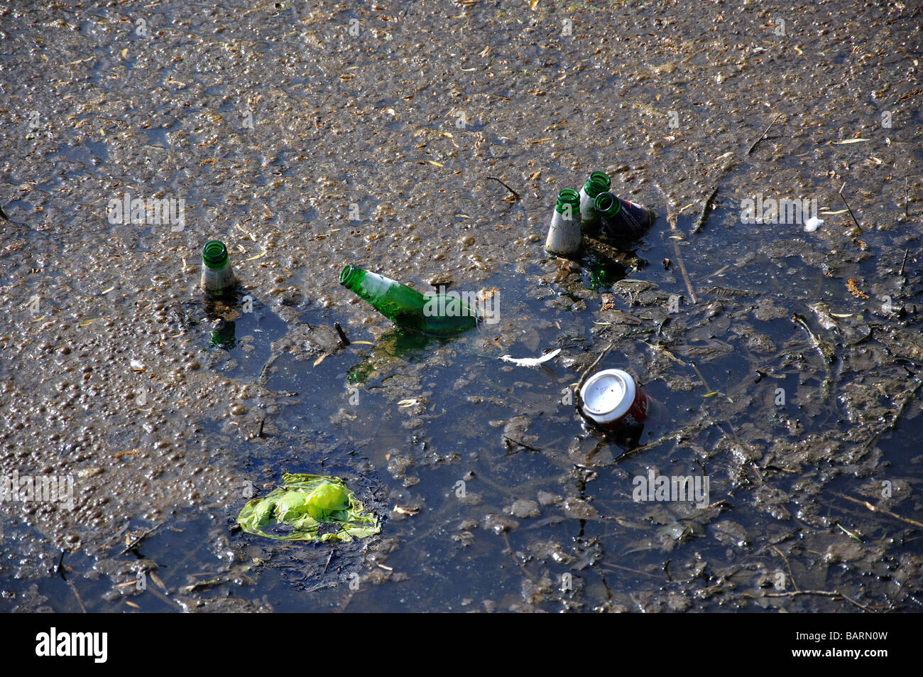 Rubbish in water, South Pond, Midhurst, West Sussex, England, United Kingdom Stock Photo