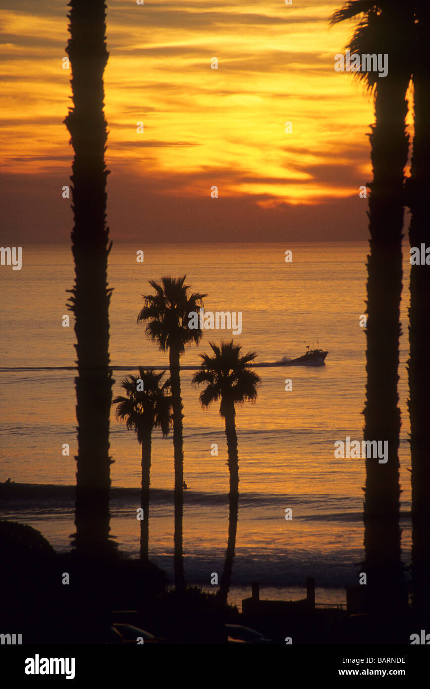 Sunset ocean palm sea beach cloud glow gold silhouette boat wave surf glisten shine reflect Stock Photo