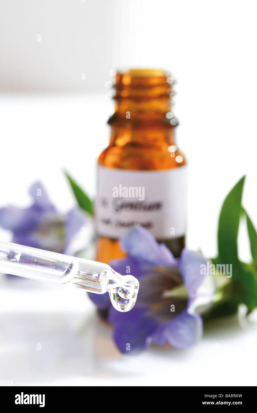 Bottle with Bach Flower Stock Remedy, Gentian (Gentiana Stock Photo Alamy