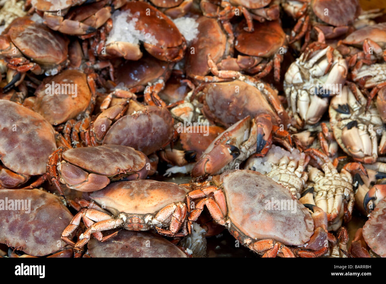 crabs piled on a fish market stall in folkstone kent Stock Photo Alamy
