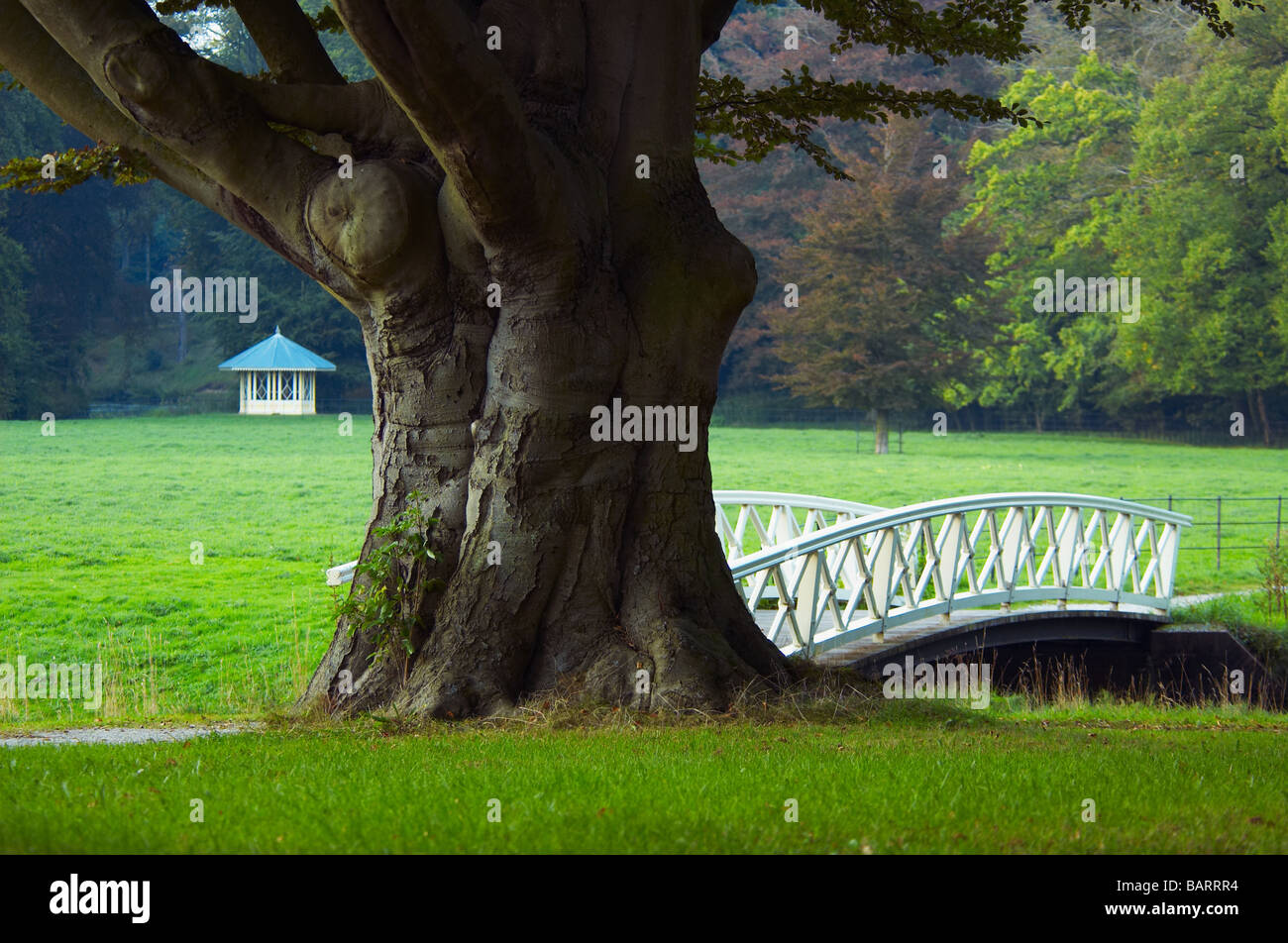 Park in autumn with little bridge Stock Photo - Alamy