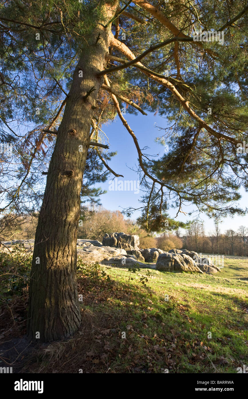 Wellington rocks hi-res stock photography and images - Alamy