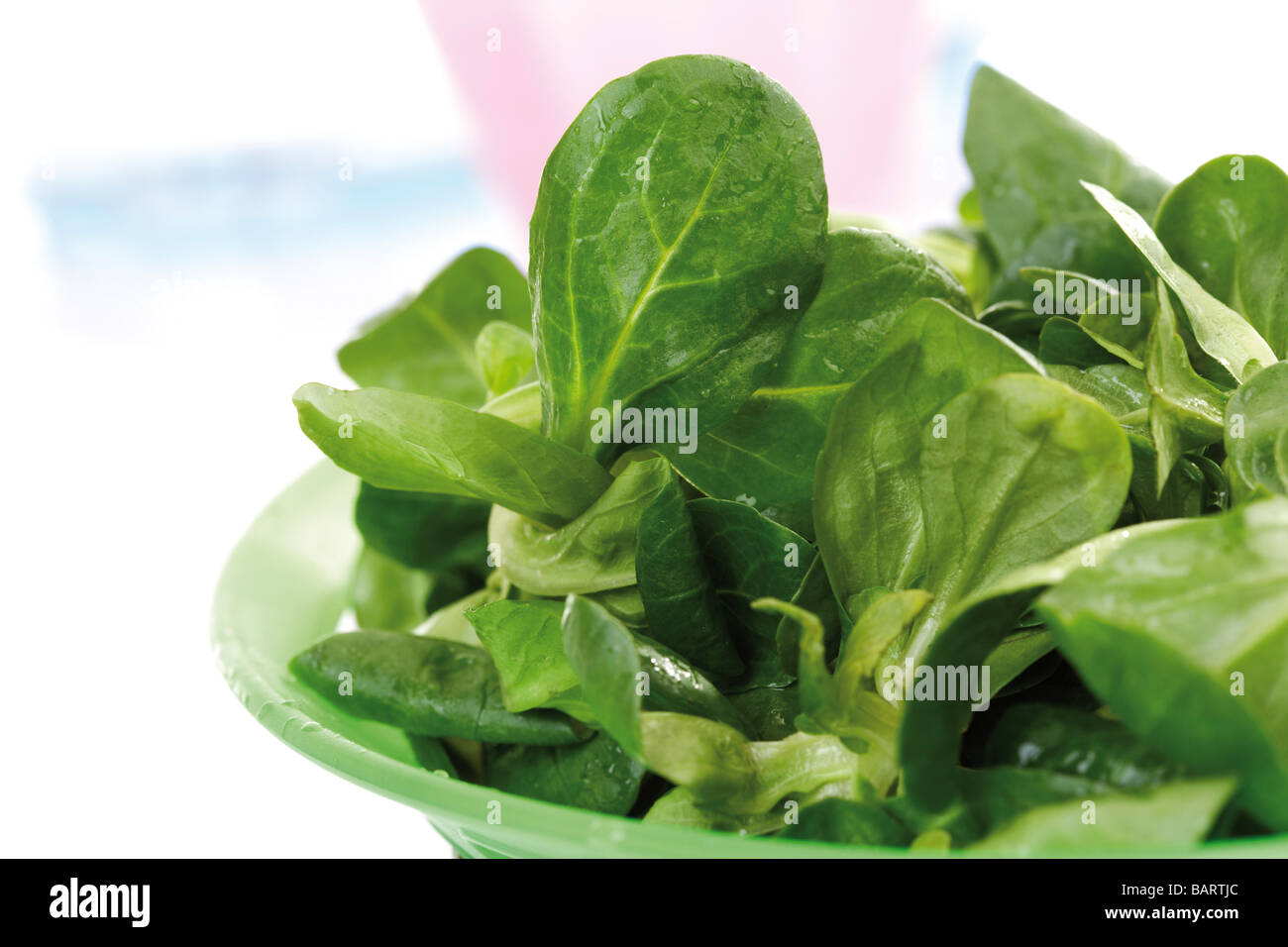 Field salad in plastic bowl, close-up Stock Photo