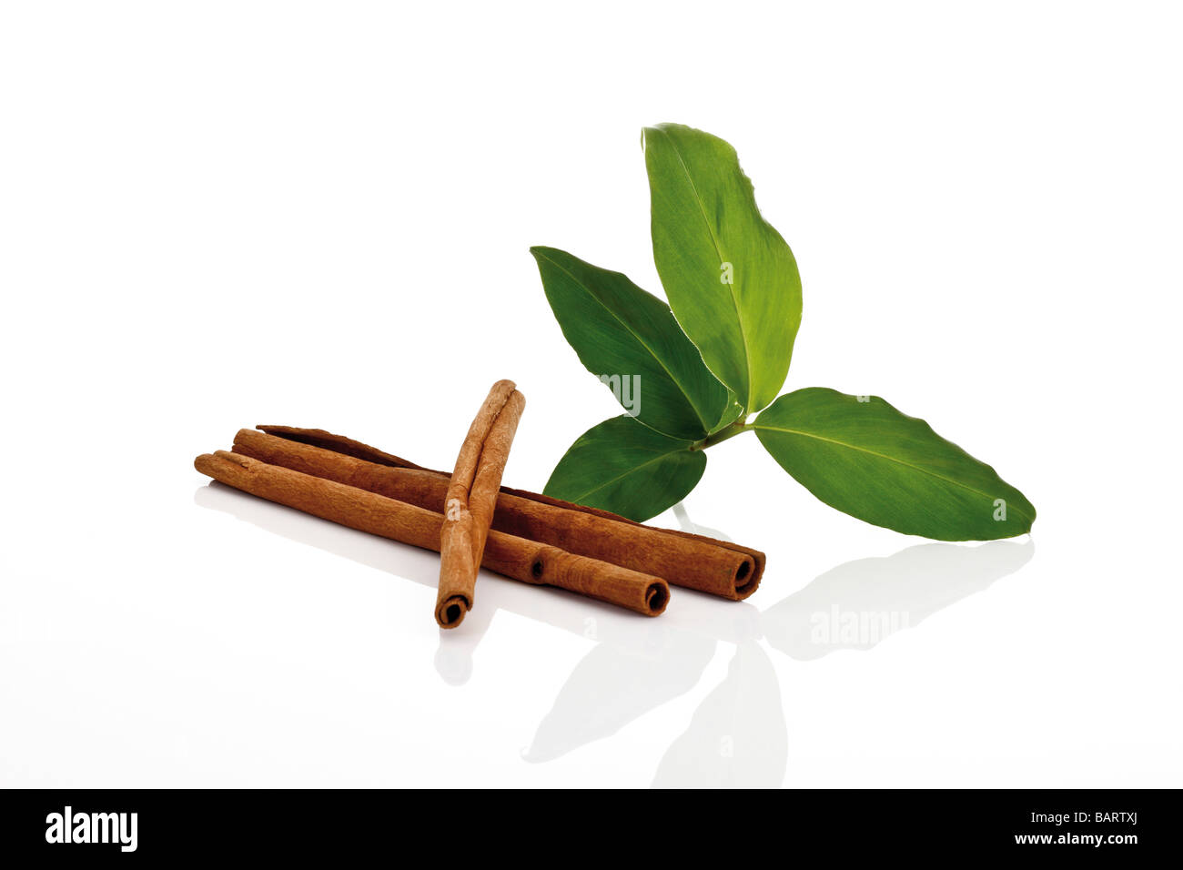 Cinnamon sticks and cinnamon leaves (Cinnnamomum) Stock Photo