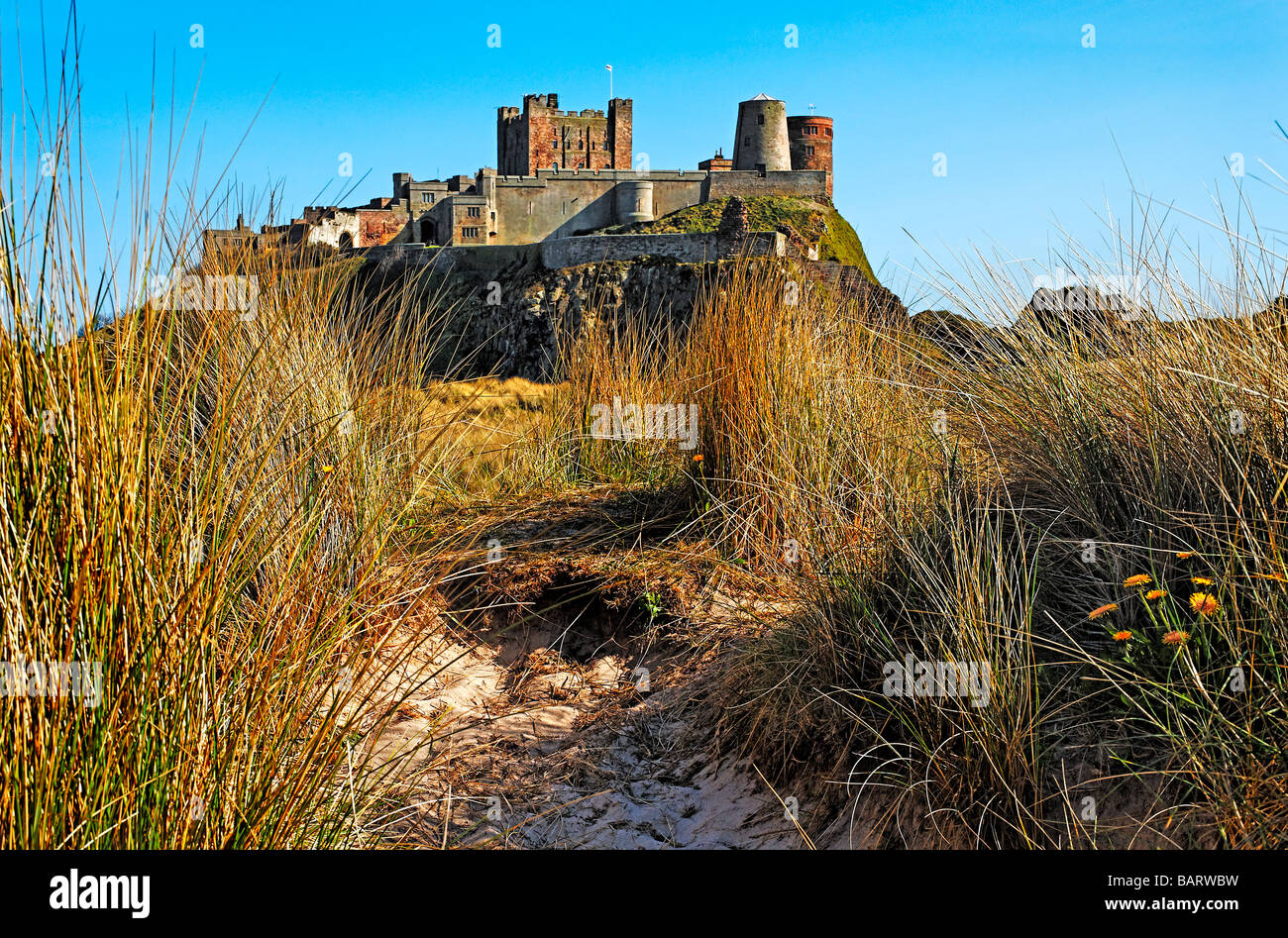 Sand dunes and castle at Bamburgh Northumberland Stock Photo