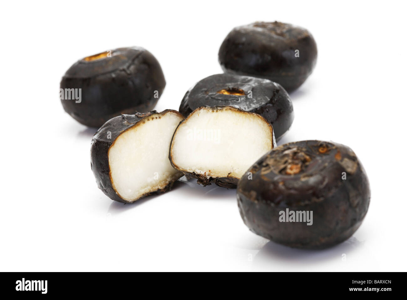 Chinese Water Chestnuts (Eleocharis dulcis) Stock Photo