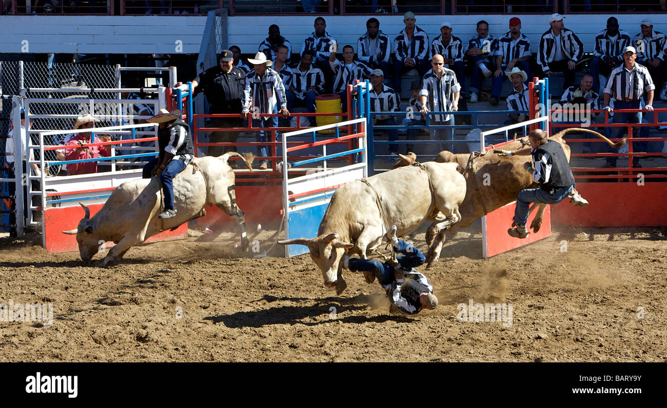 US ANGOLA - Louisiana State Prison Rodeo PHOTO GERRIT DE HEUS Stock ...
