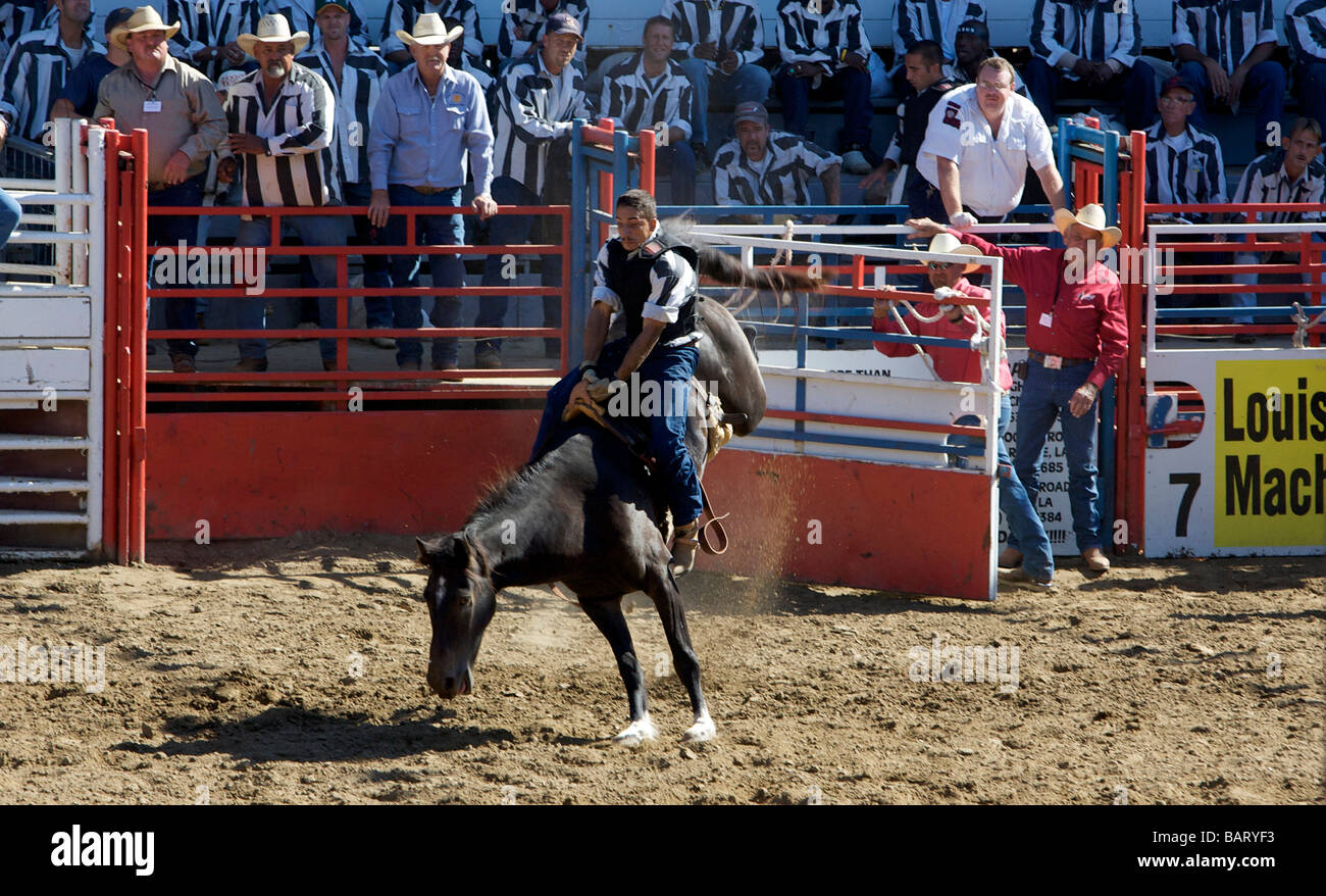 US ANGOLA - Louisiana State Prison Rodeo PHOTO GERRIT DE HEUS Stock ...
