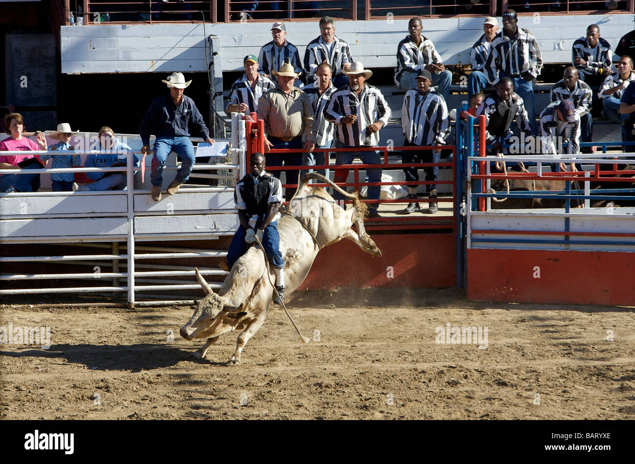 US ANGOLA - Louisiana State Prison Rodeo PHOTO GERRIT DE HEUS Stock ...