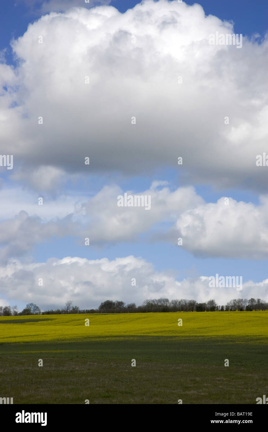 A view of farm land in Kent Stock Photo - Alamy